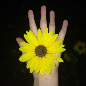 Meet your Posher, Hann